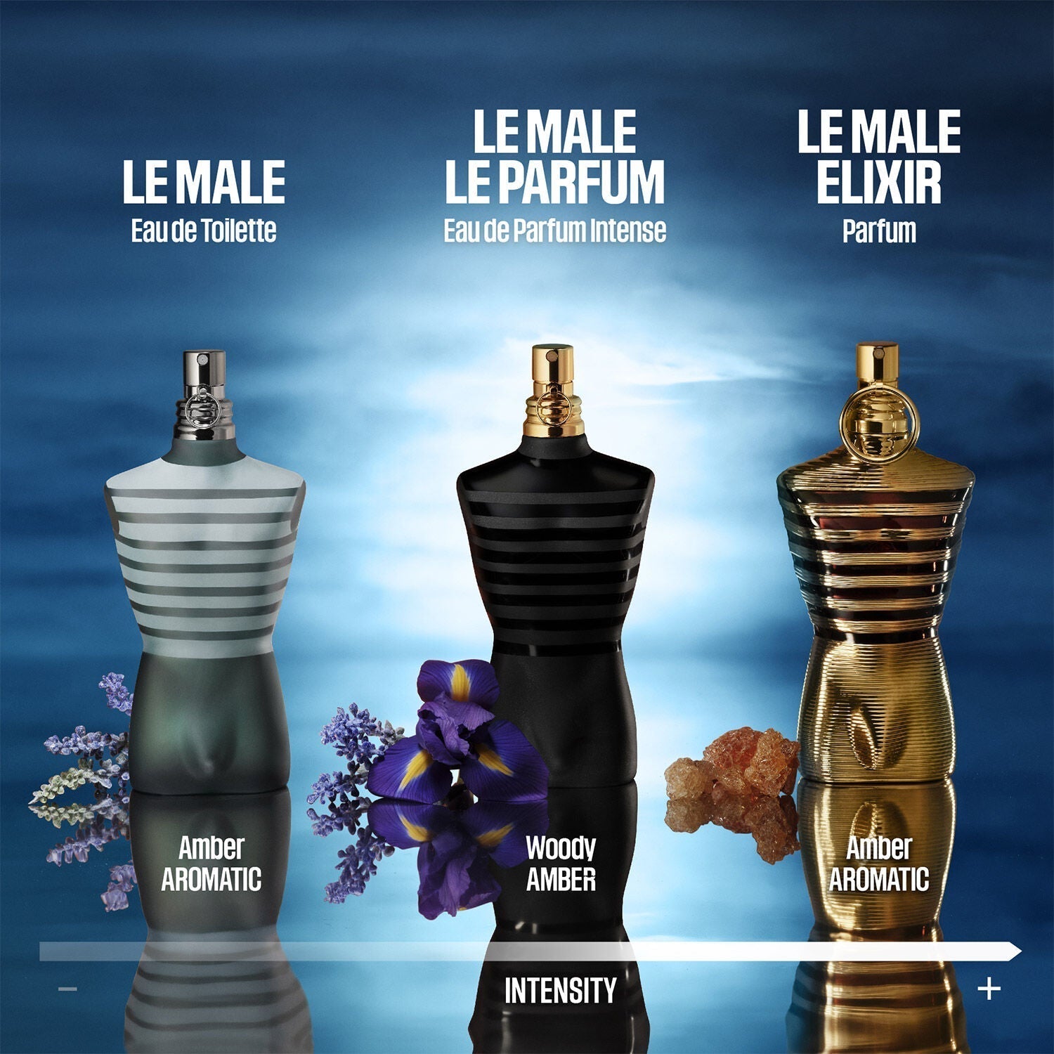 Le Male - Jean Paul Gaultier